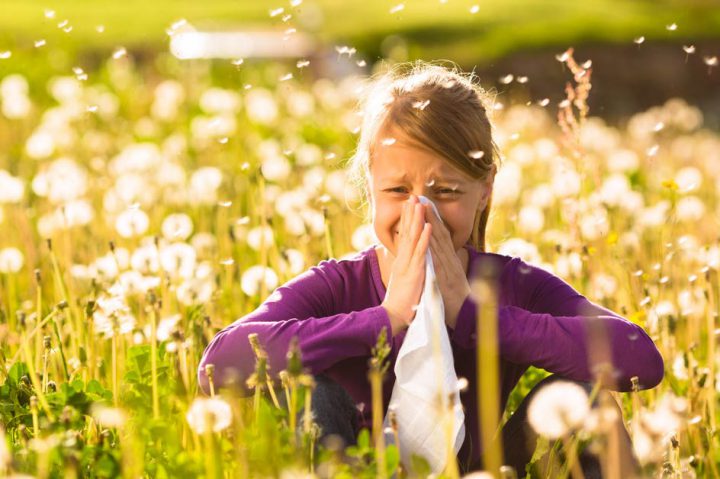 Pompe di calore contro l'allergia